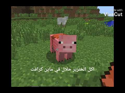 اكل الخنزير حلال في ماين كرافت كيف انت عايز تبوظ شرع ربنا