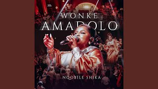 Wonk' Amadolo