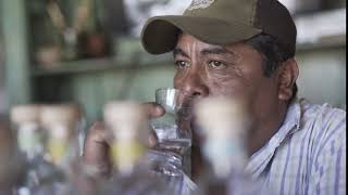 Denver And Liely - Agave Gl