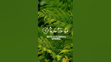 احترم القرآن وقف نصف دقيقة| قرآن كريم بصوت يقشعر له الأبدان