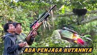 🔴HUNTING WALIK, BERTEMU PENJAGA HUTAN // BERBURU BURUNG WALIK,