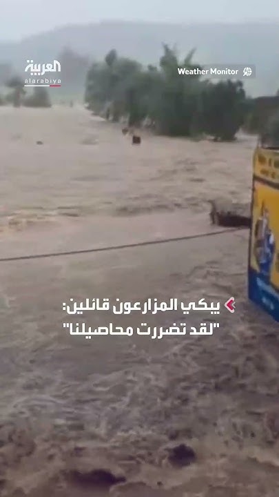           
 - نشر قبل 2 ساعة