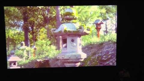 Light Field Imaging: The Future of VR-AR-MR- Part 2: Mark Bolas