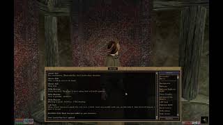 The Code Book Fighter's Guild Quest Walkthrough - Elder Scrolls Morrowind