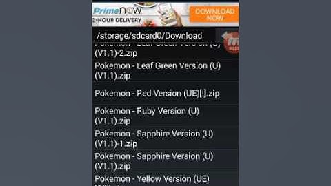 Pokemon ruby part1(choosing my starter and defeating may)