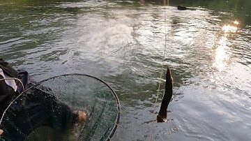 Anh em miền núi đi câu cá suối tập 2 | Người Tày Vlog