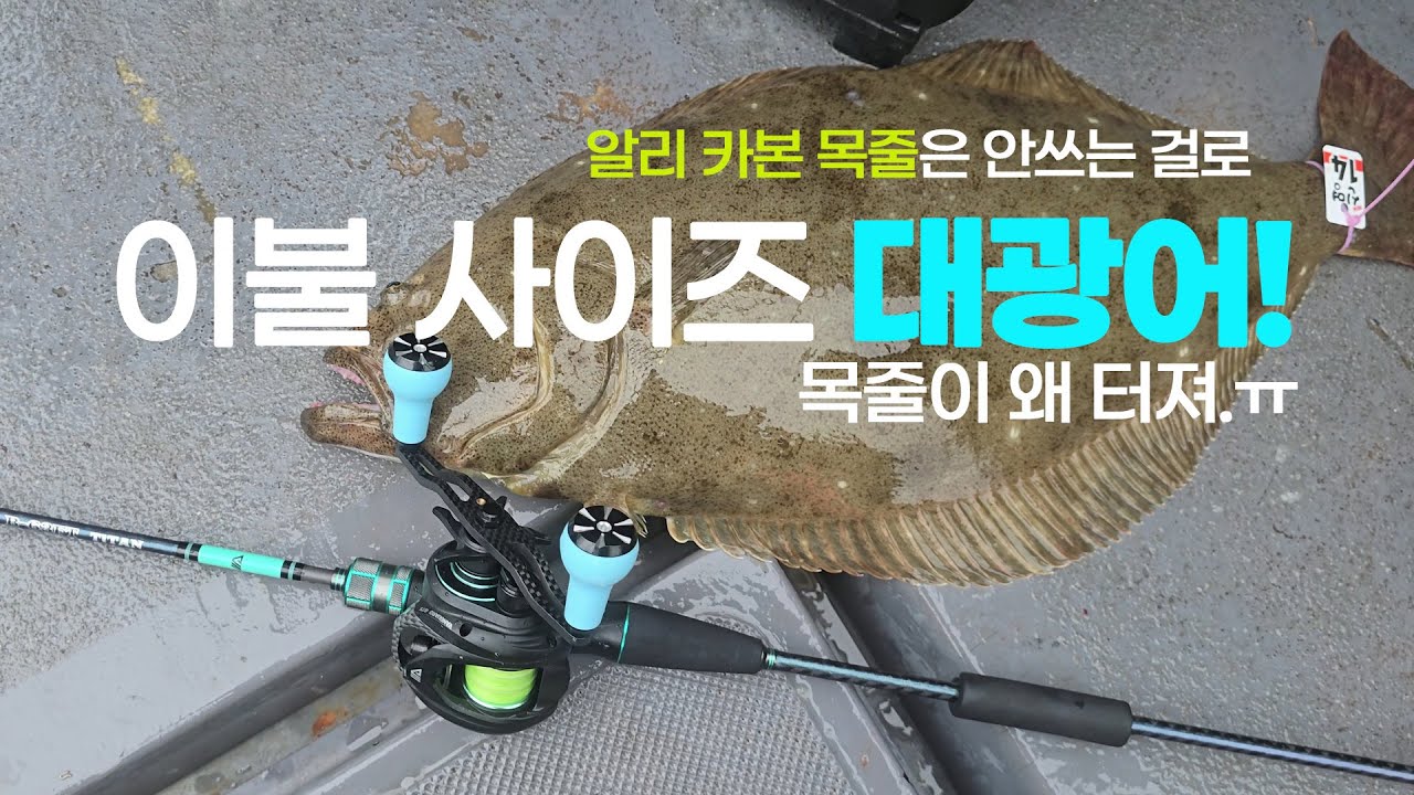 광어 다운샷 9짜 대광어 꿈꾸면 알리 카본 목줄은 안쓰는 걸로... 후회막심.  #광어다운샷, #아오맥스,#티타늄 광어대