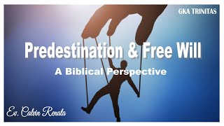 PREDESTINASI & KEHENDAK BEBAS : PERSPEKTIF BIBLIKA