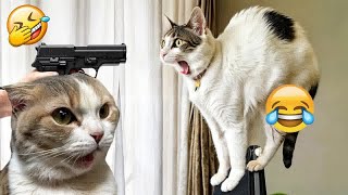 New Funny AnimalsBest Funny Dogs and Cats Videos Of The WeekPart 10