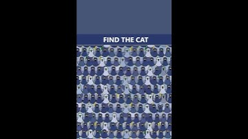 Find the Hidden Cat! 🐱 | Can You Spot It Fast?#FindTheCat #HiddenCatChallenge   #youtubeshorts