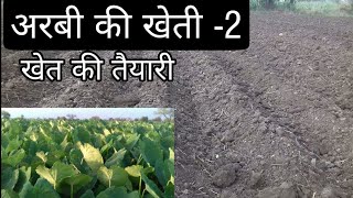 अरबी की खेती कब और कैसे करे।।अक्टूबर में अरबी की खेती कैसे करे।।arbi farming and cultivation।।