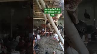 कड़कनाथ मुर्गी खरीदने के लिए सम्पर्क करें | Kadaknath  Murgi Sell #baggit #continentalfoods