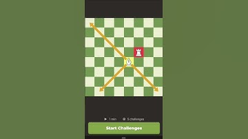 Chess Tutorial - THE BISHOP