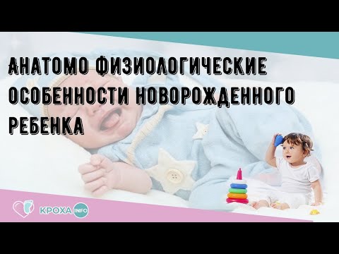 Анатомо физиологические особенности новорожденного ребенка