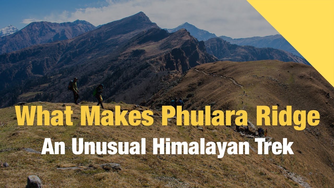 indiahikes himalayan trek