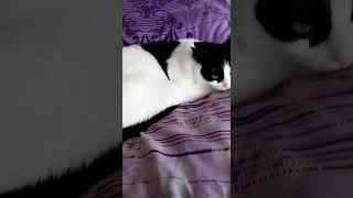 Şuna Bi Bak - Yumoş