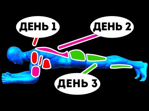 6 групп мышц, которые нужно тренировать в один день, чтобы накачаться