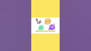 Xoài Và Chất Chống Oxy Hóa | Sức Khỏe Là Vàng #suckhoelavang