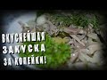 ХОЛОДНАЯ ЗАКУСКА ИЗ КУРИНЫХ ЖЕЛУДОЧКОВ