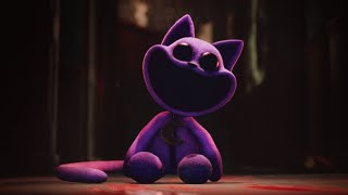 CatNap Recall