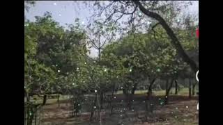 Sau Baar Janam Lenge Sau Baar Fana Honge...