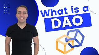 What Is a DAO and How Does It Work 🏢 - Introduction To DAOs For Beginners
