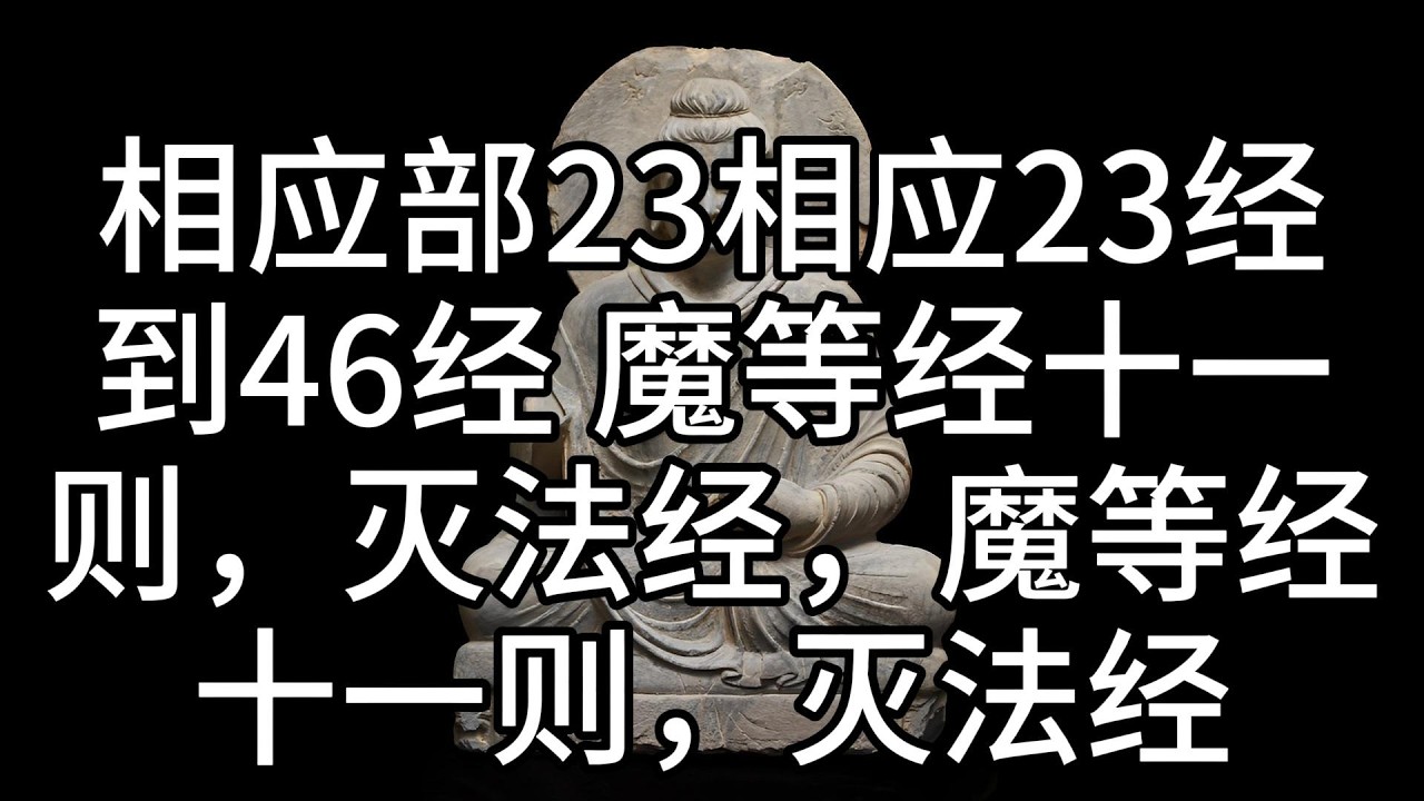 相应部23相应23经到46经 魔等经十一则，灭法经，魔等经十一则，灭法经，中文白话翻译。（313） - YouTube