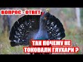 ПОЧЕМУ ГЛУХАРИ НЕ ТОКОВАЛИ ? ВОПРОС - ОТВЕТ.