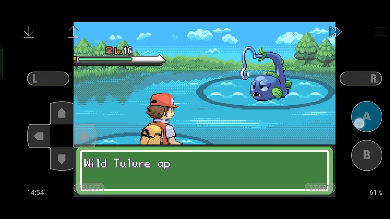 Pokemon Clover Special - Feebas? No, Sadfish.