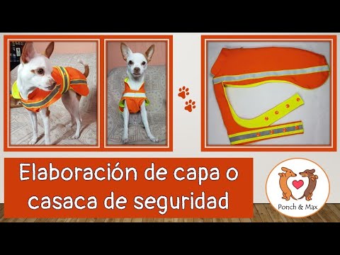 DIY 🐶 Elaboración de disfraz de Woody Toy Story📌 🥰 Ropa para perros y  mascotas ❤❤❤ 