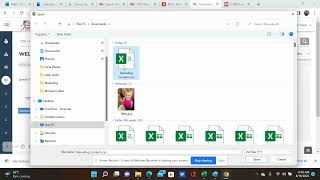 Importing Contacts from Seller.CTBids.Com into FranConnect