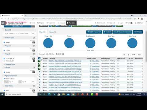 GDC Data Transfer Tool user interface