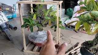 Chia sẻ kinh nghiệm khi mua mai trên mạng về cách dưỡng 100/100 sống tốt  screenshot 1