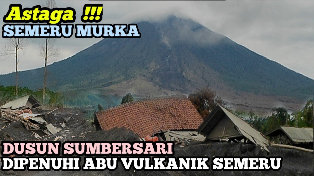MENGENASKAN‼️NASIB DUSUN SUMBERSARI LUMAJANG PASKA ERUPSI GUNUNG SEMERU TAHUN 2025@sivava99
