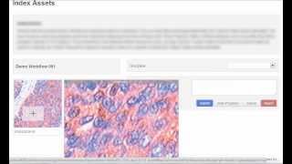 Digital Archive and Retrieval Solution