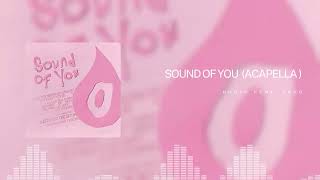 Sound of You - ANOTR feat TEED (Acapella / Vocals)