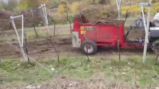 F.LLI MERLINI -Spandiletame orizzontale M20L/OR  2 Manure spreader with horizoltal rollers on vine