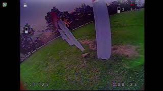 Buder park 6/2/25