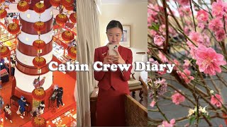 Flight Schedule of a Cabin Crew | Rare Bangkok Long Stay | London Battersea Light Festival