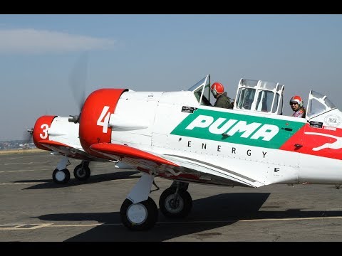 puma aerobatic team