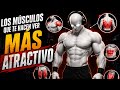 Los Músculos Que Te Hacen Ver Más Atractivo ⭐