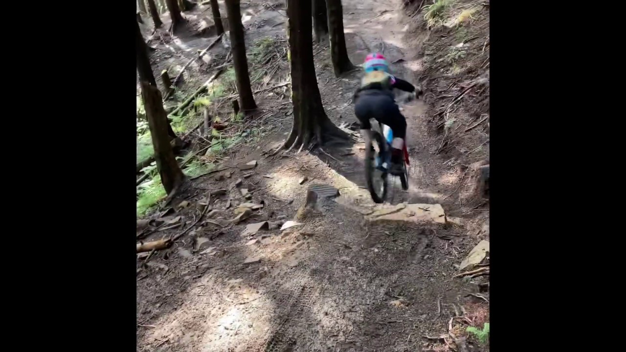 Syd-Vicious on Predator