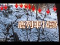 【狩猟動画】鹿列車2022