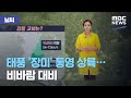 [날씨] 태풍 '장미' 통영 상륙…비바람 대비 (2020.08.10/뉴스외전/MBC)
