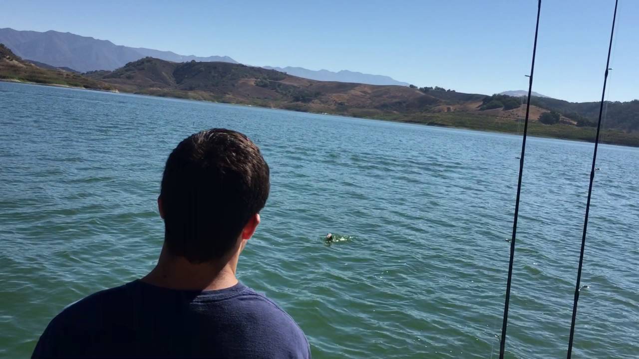Lake Casitas Bass Fishing 08/13/2016 YouTube