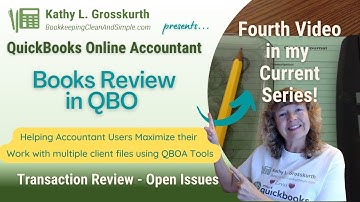 Books Review in QBO - Transaction Review - Open Issues