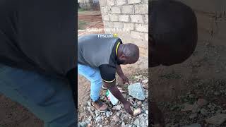 Rubber Band To The Rescue creatorsearchinsights  funny  pranks fyp  viralpost  viralshorts