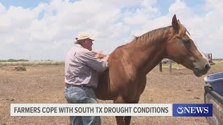 Farmers and ranchers struggle with South Texas drought conditions