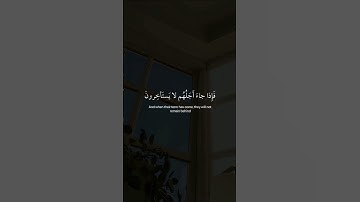 وَلَو يُؤاخِذُ الله النّاسَ بِظُلمِهِم 🤍🎧سورة النحل، عبدالرحمن مسعد #قرآن #ارح قلبك #ارح سمعك