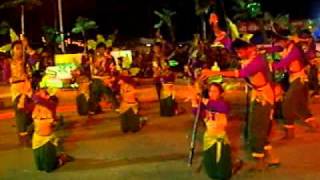 Cnhs Mardi Gras Festival
